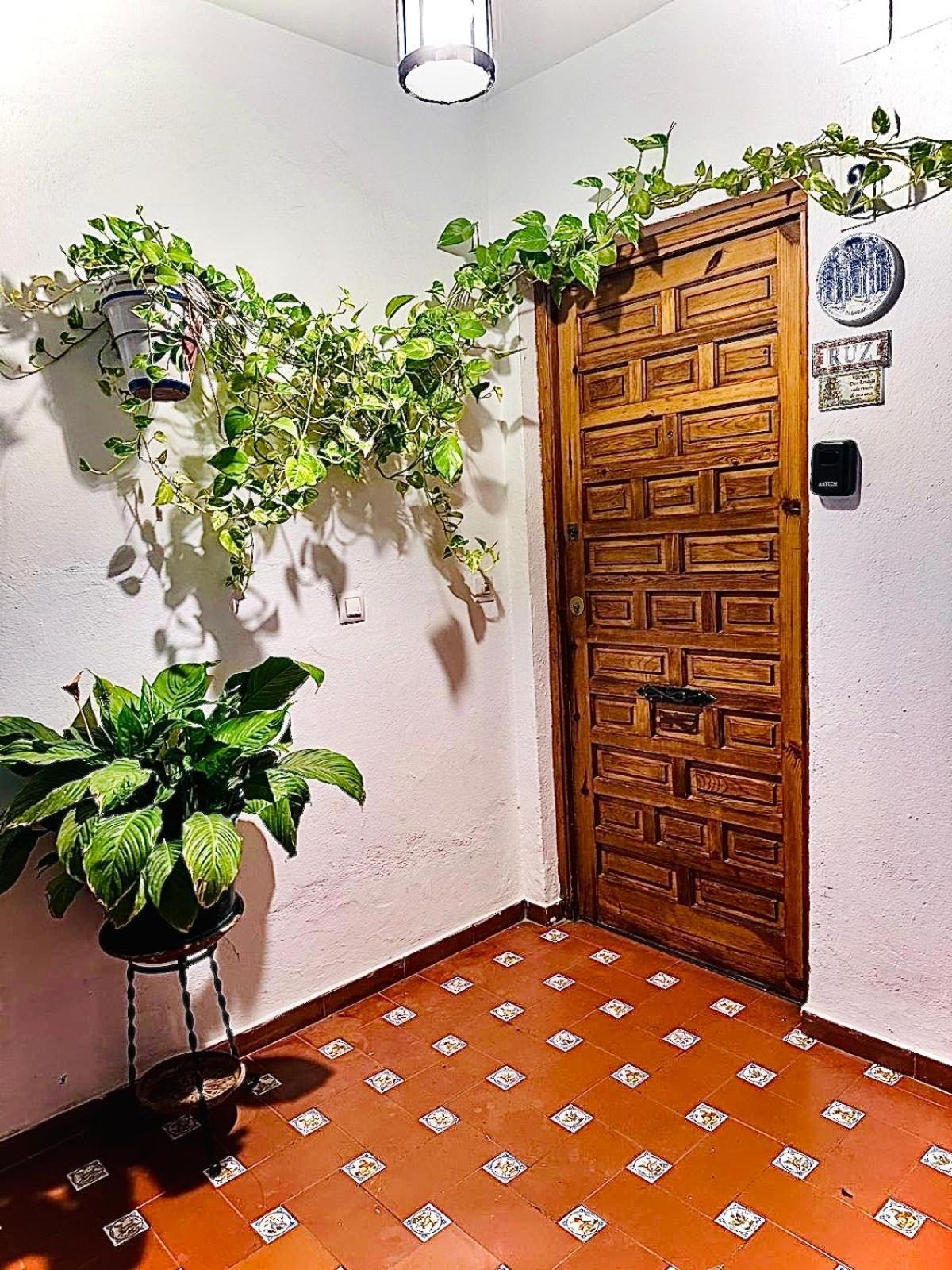 Apartamentos Ruz Córdoba Kültér fotó